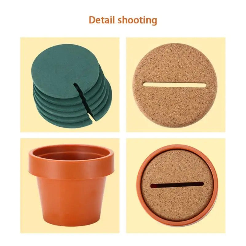 Cactus Coaster