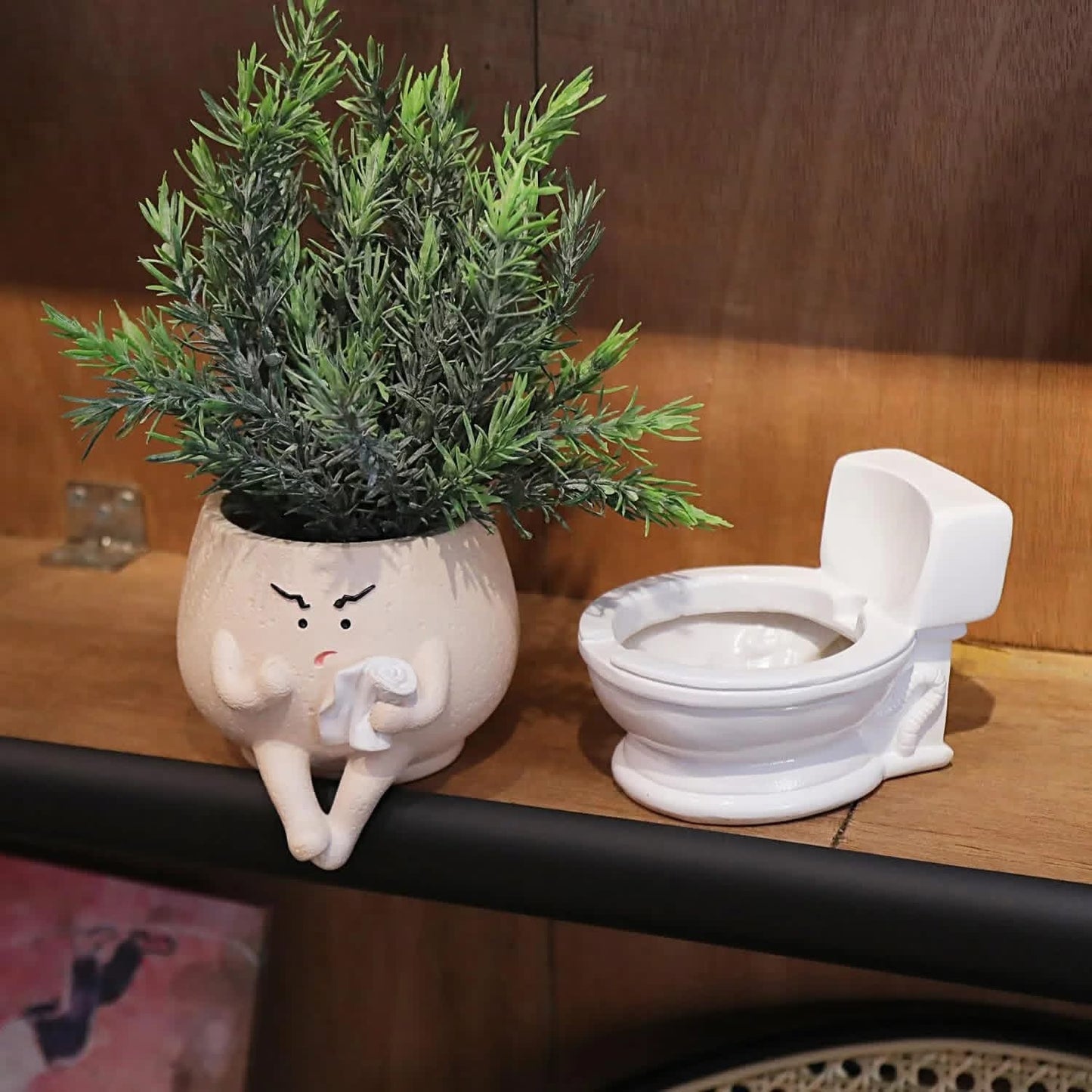 Grumpy Toilet Planter Pot