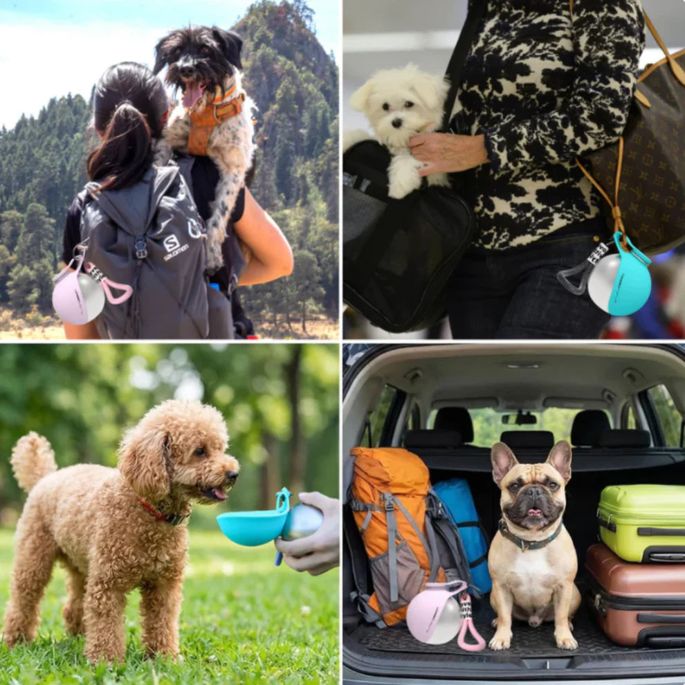 2-in-1 Portable Dog Water Bottle with Foldable Bowl