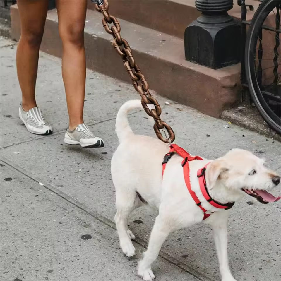 BoldLink Lightweight Chain Dog Leash