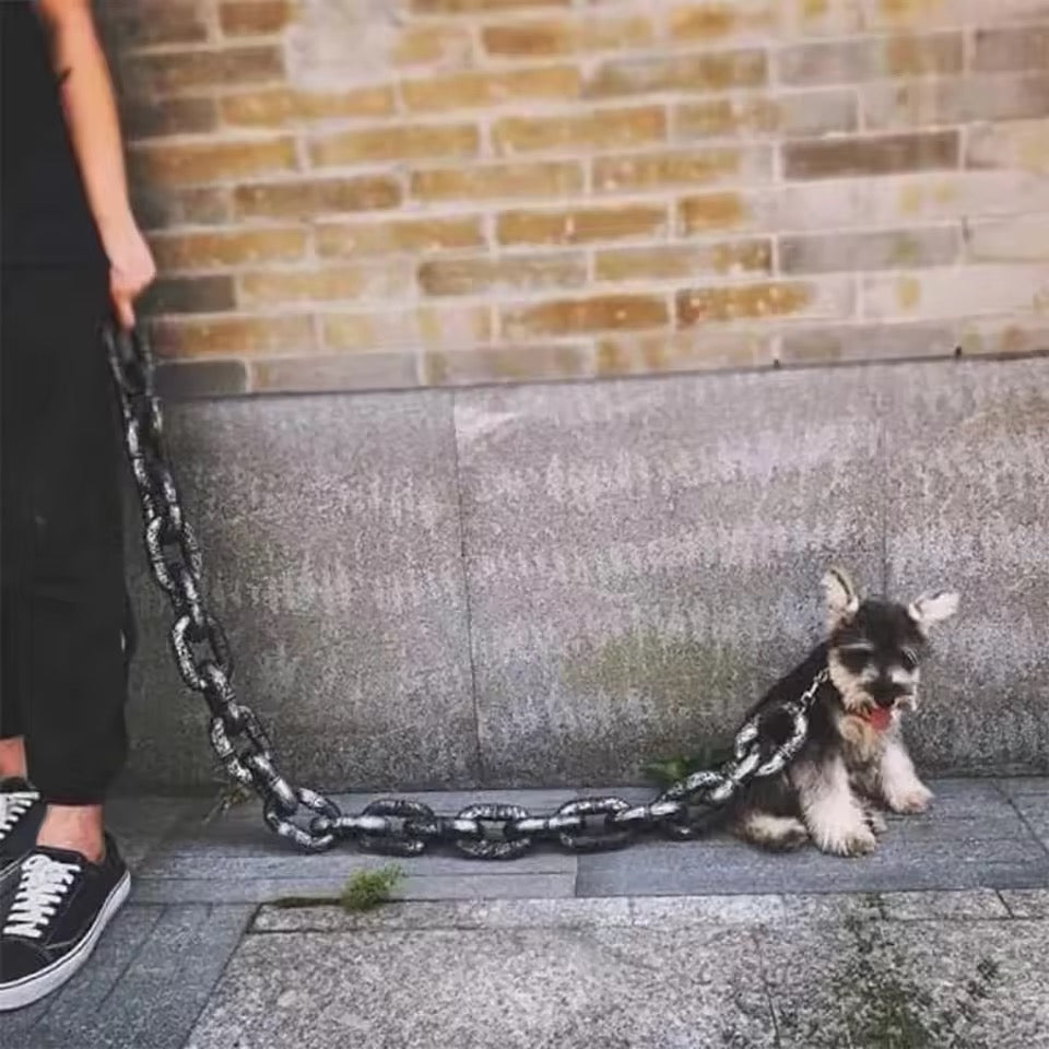 BoldLink Lightweight Chain Dog Leash