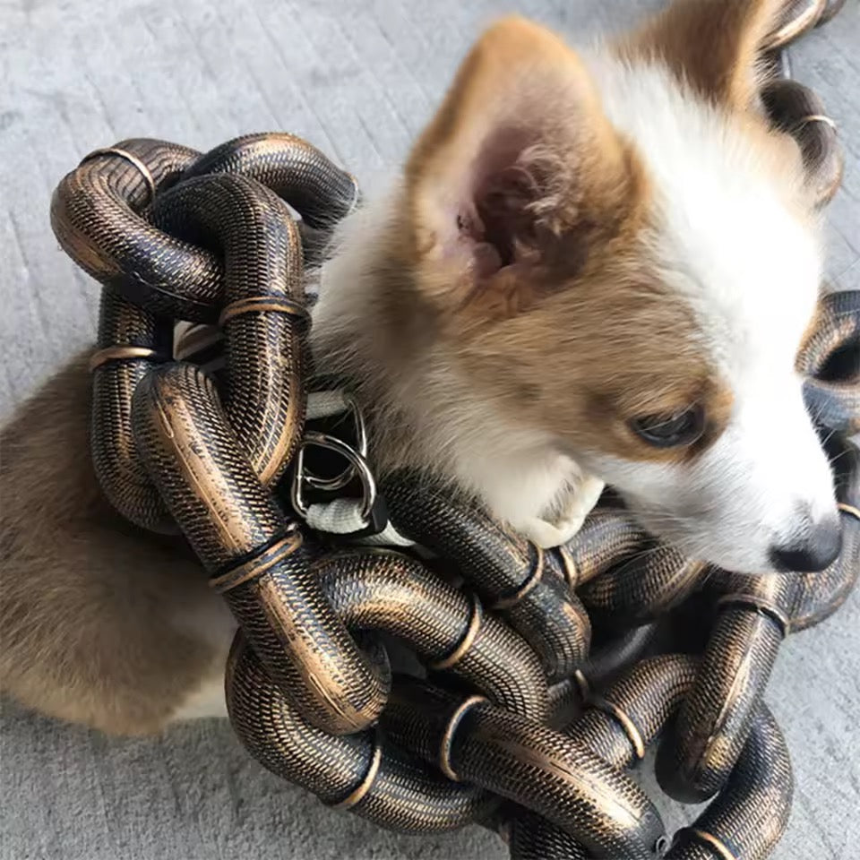 BoldLink Lightweight Chain Dog Leash