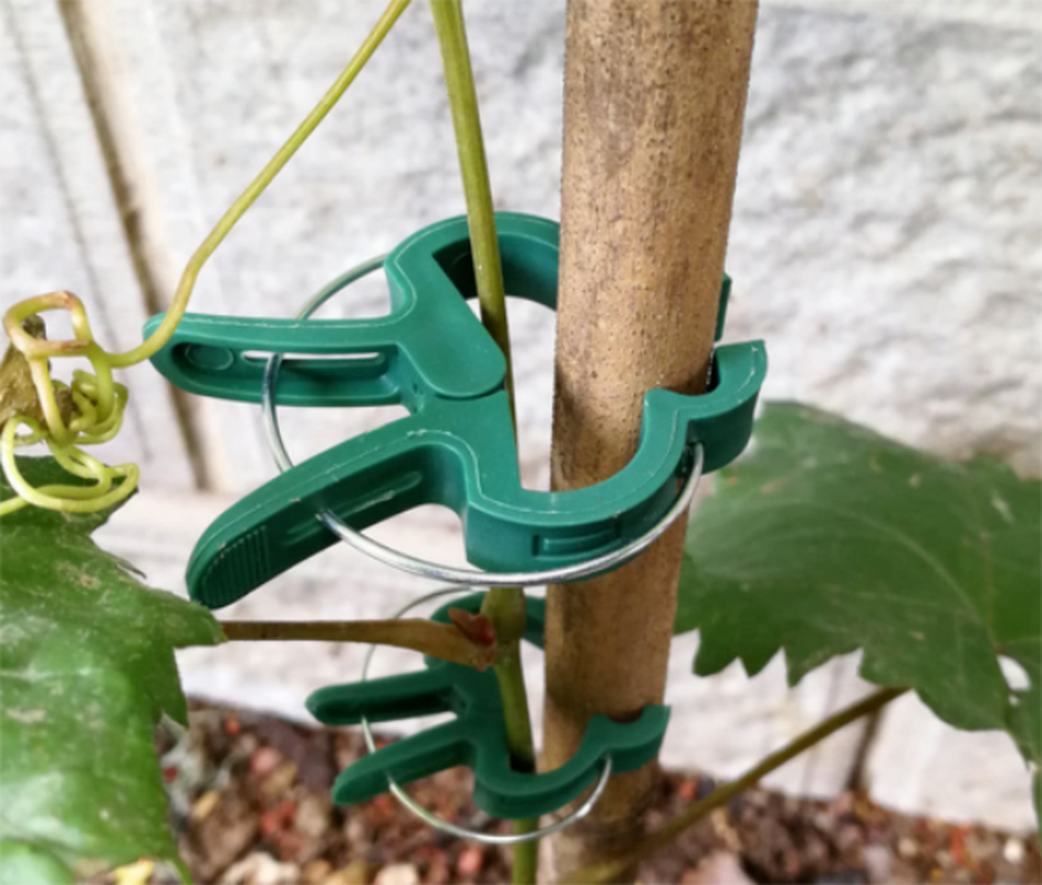 20Pcs Green Garden Plant Fixed Clips