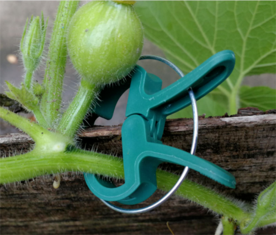 20Pcs Green Garden Plant Fixed Clips