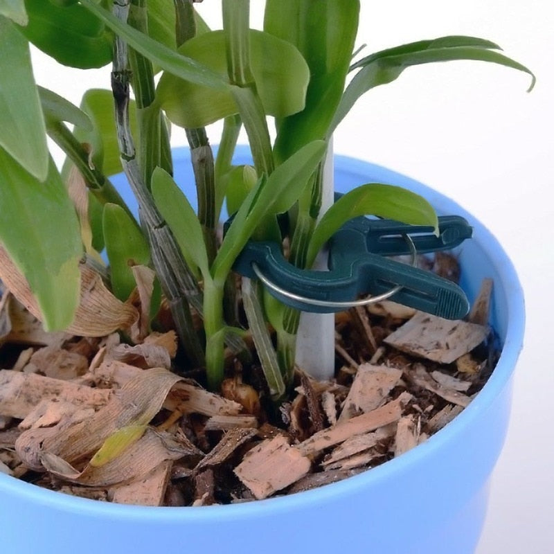 20Pcs Green Garden Plant Fixed Clips