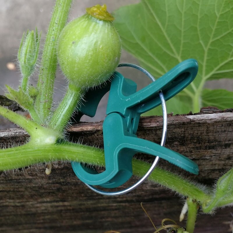 20Pcs Green Garden Plant Fixed Clips